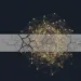 Strategic Rationale: The APN Social Capital Index™