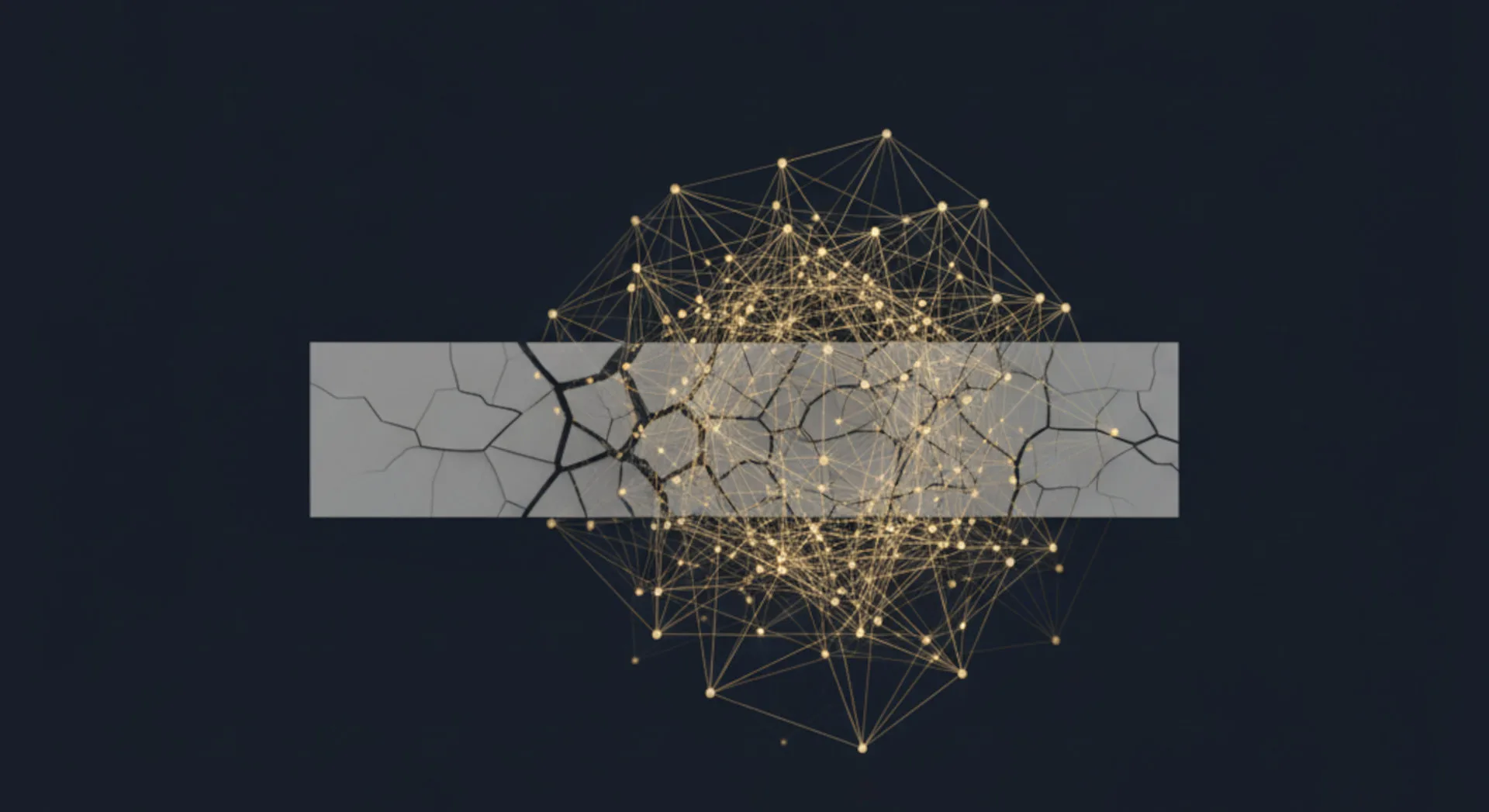 Strategic Rationale: The APN Social Capital Index™