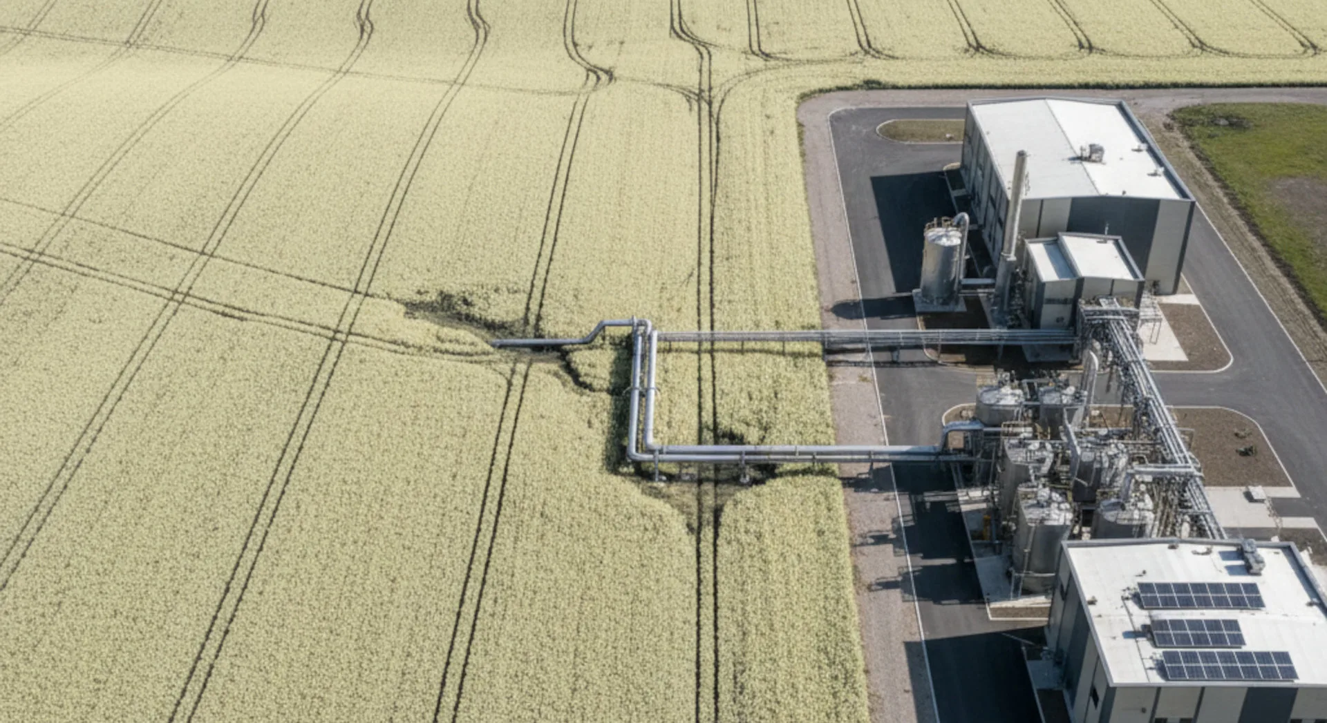The Biofuel Land Boom: Deconstructing the $1.1B Investment and its Impact on Regional Property