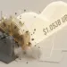 T2D Project Milestones Confirm .05 Billion Land Uplift and Trigger Industrial Rent Spike