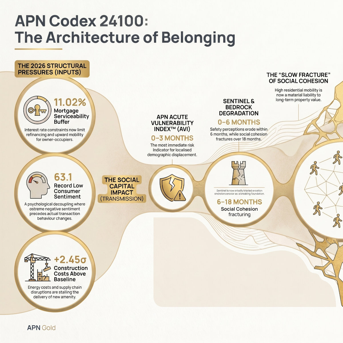 APN Infographic